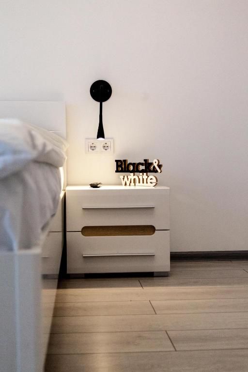 Апартаменты The best apartment in Kiev Black & White Киев-108