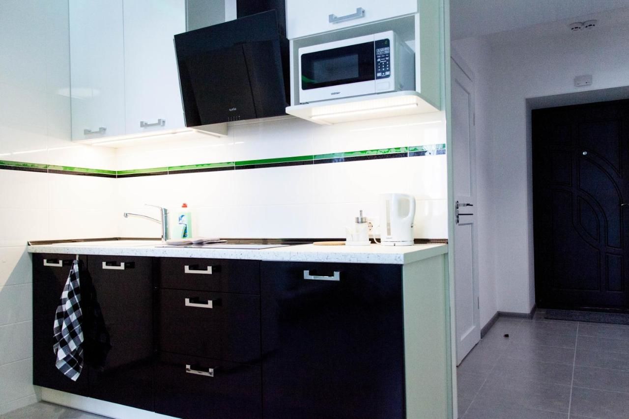 Апартаменты The best apartment in Kiev Black & White Киев-14