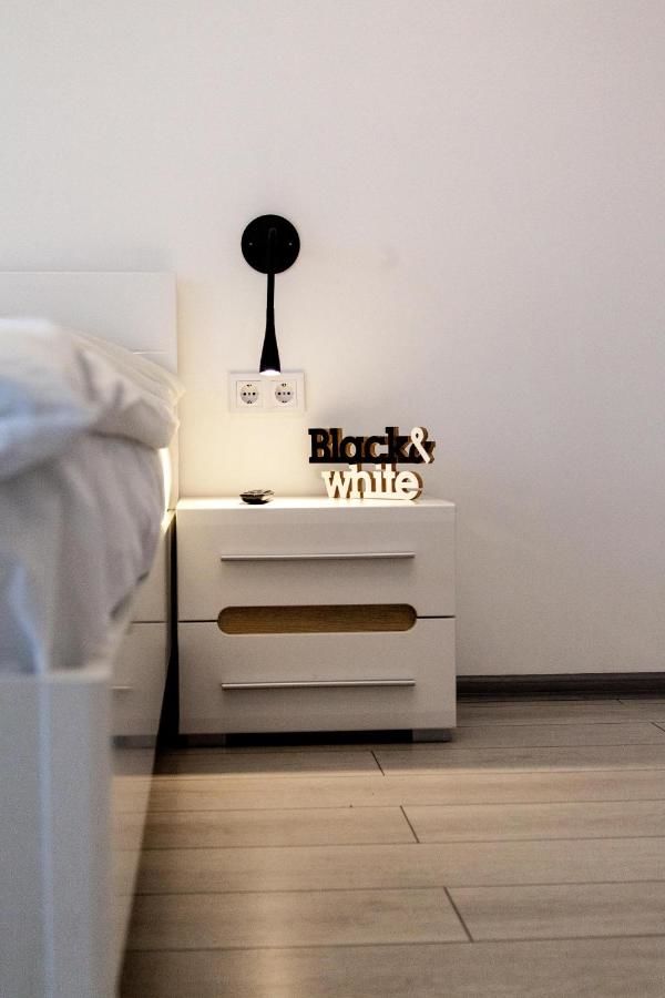 Апартаменты The best apartment in Kiev Black & White Киев-37