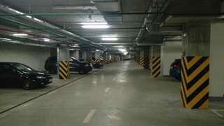 Апартаменты The best apartment in Kiev Black & White Киев Улучшенные апартаменты-108