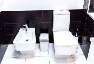 Апартаменты The best apartment in Kiev Black & White Киев Улучшенные апартаменты-23