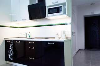 Апартаменты The best apartment in Kiev Black & White Киев Улучшенные апартаменты-68