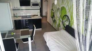 Апартаменты The best apartment in Kiev Black & White Киев Улучшенные апартаменты-86