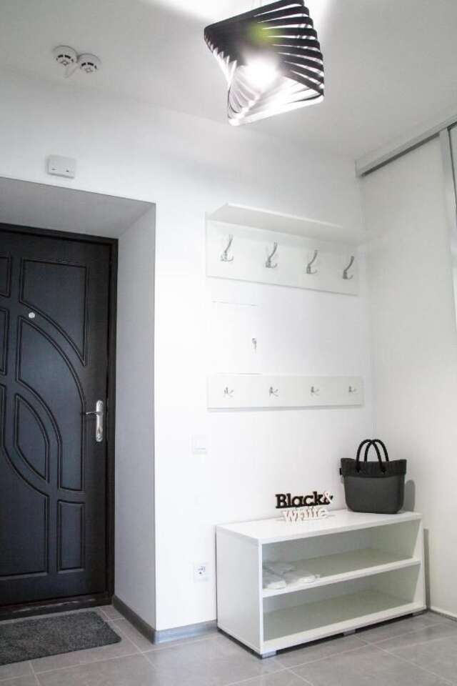 Апартаменты The best apartment in Kiev Black & White Киев-5