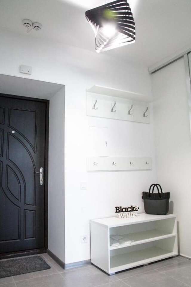 Апартаменты The best apartment in Kiev Black & White Киев-57