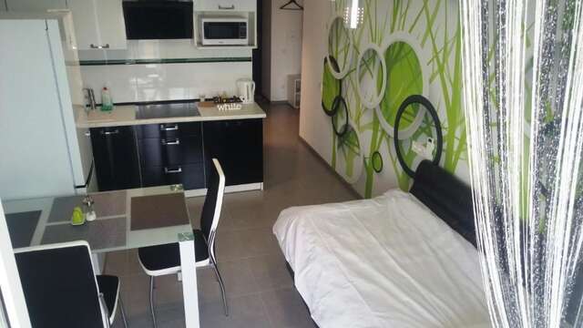 Апартаменты The best apartment in Kiev Black & White Киев-88