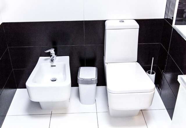 Апартаменты The best apartment in Kiev Black & White Киев-99